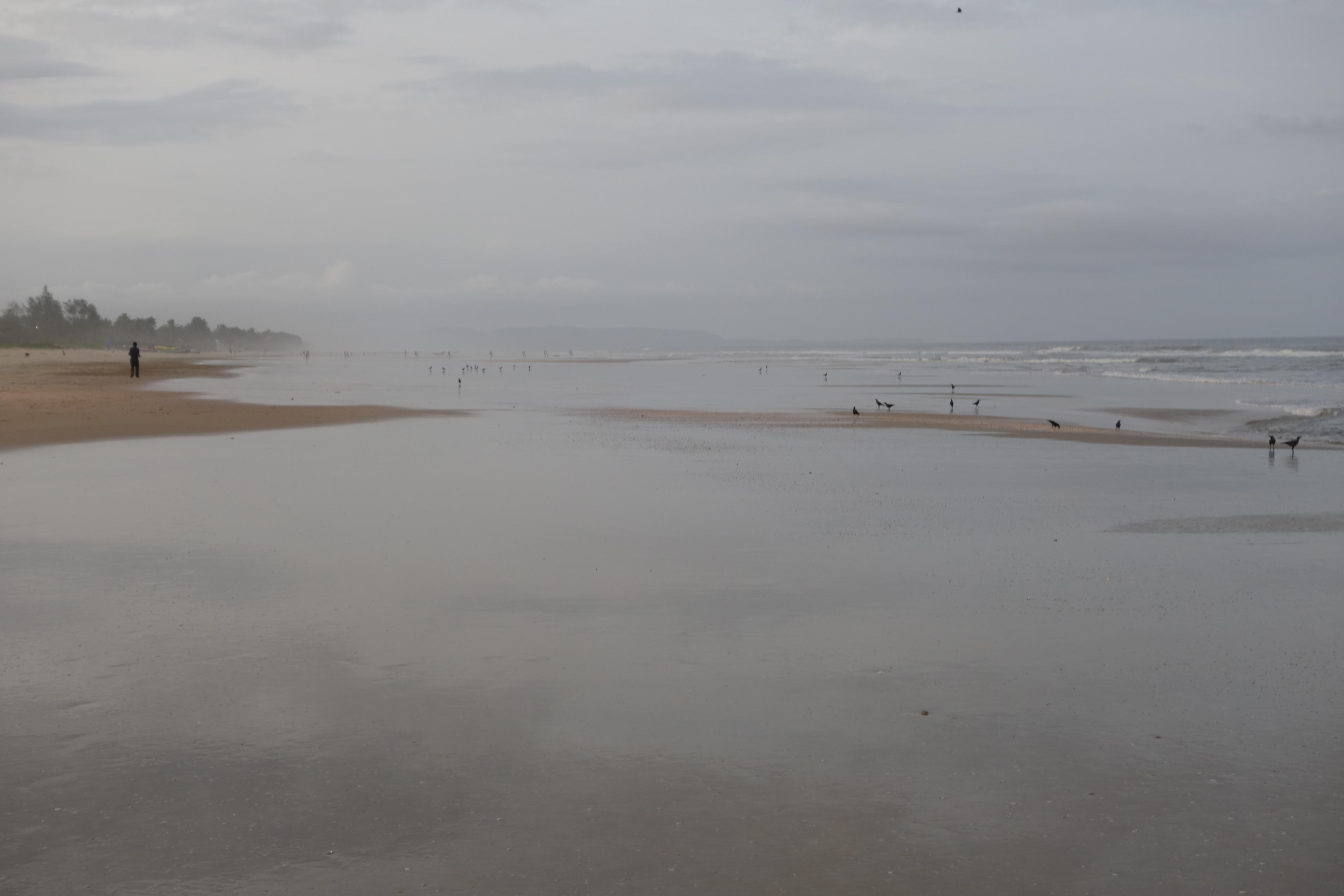 Early-morning view along Benaulim Beach, South Goa
